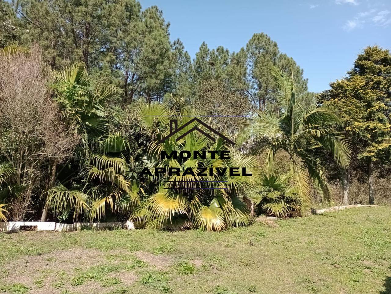Chácara à venda e aluguel com 5 quartos, 5000m² - Foto 33
