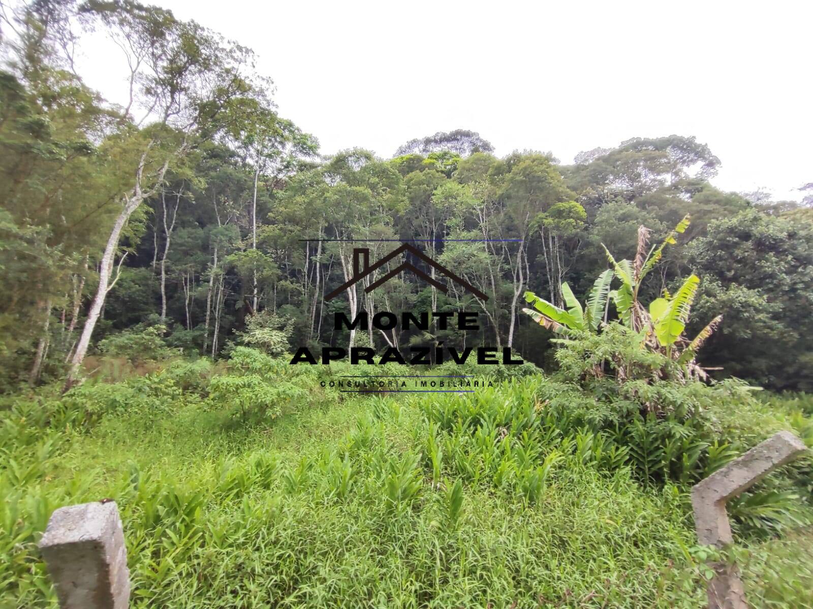 Chácara à venda e aluguel com 5 quartos, 9800m² - Foto 9
