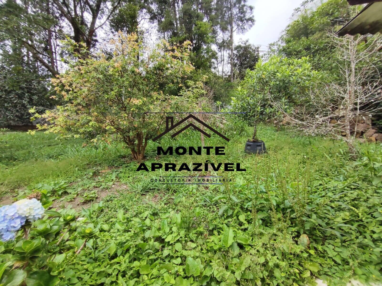 Chácara à venda e aluguel com 5 quartos, 9800m² - Foto 33
