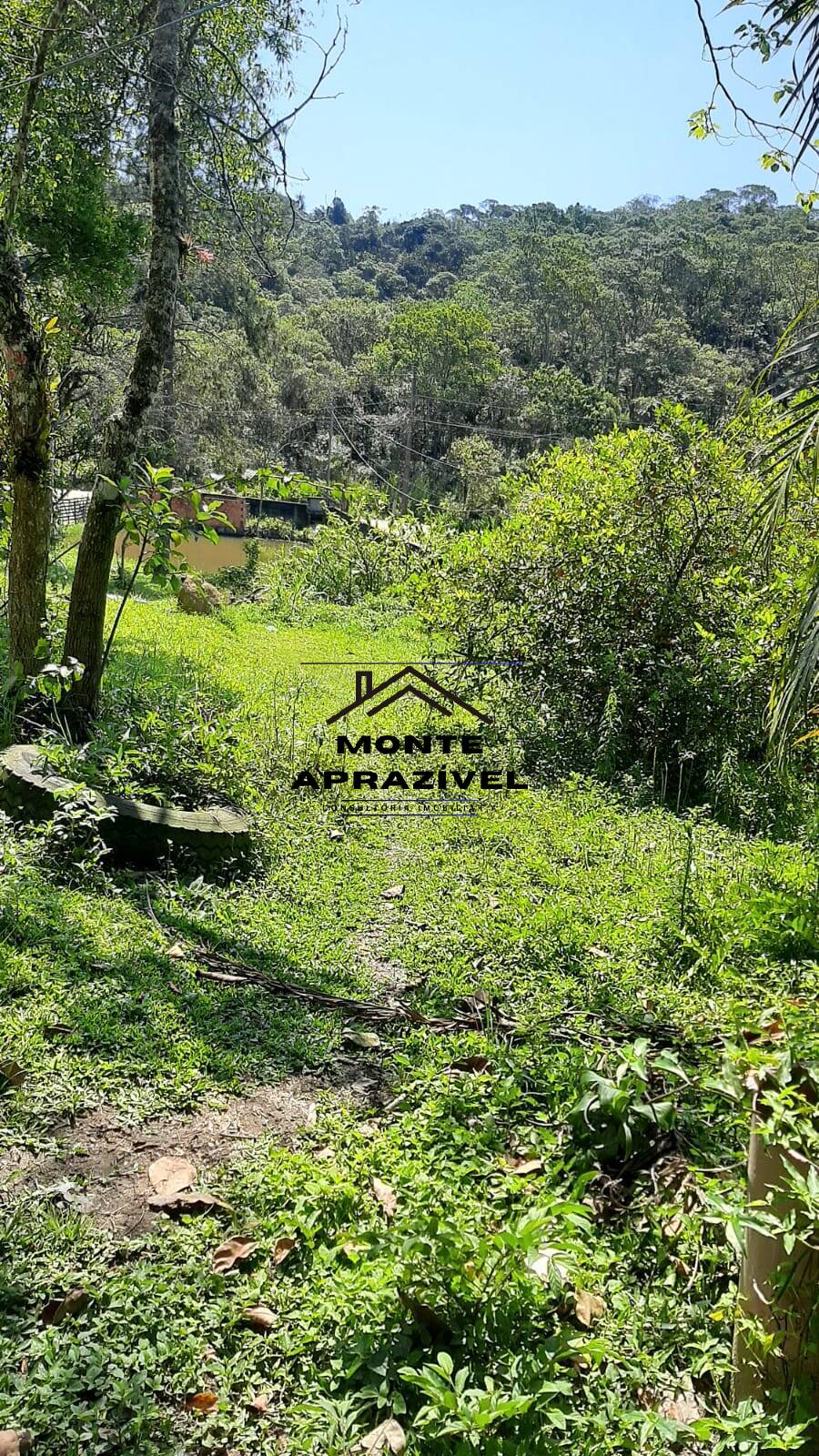 Chácara à venda com 5 quartos, 2500m² - Foto 4
