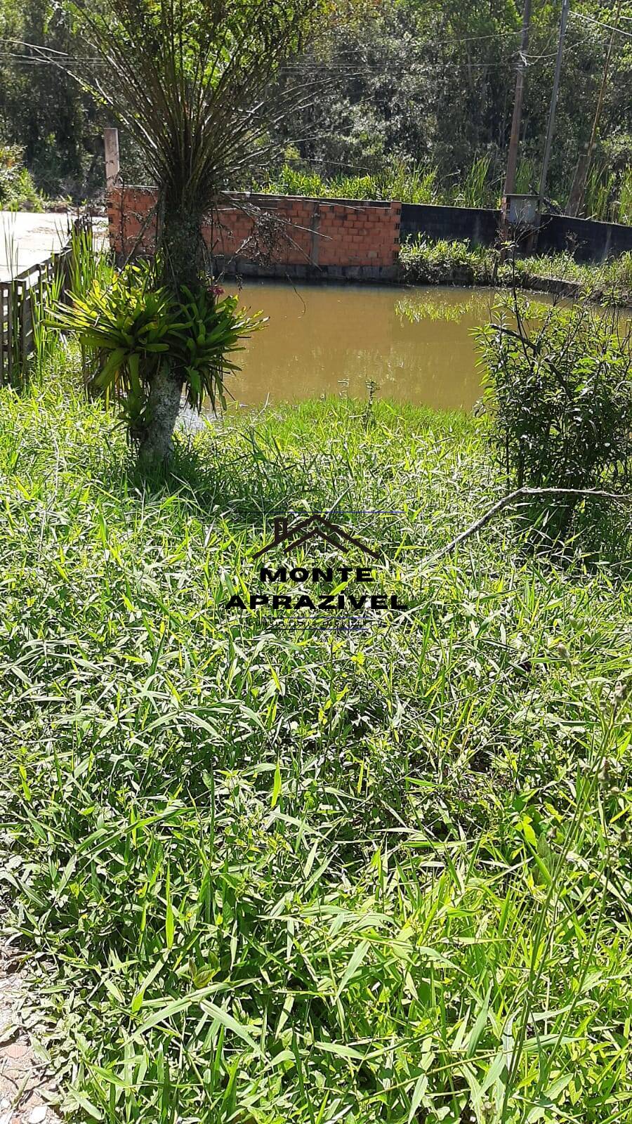 Chácara à venda com 5 quartos, 2500m² - Foto 10