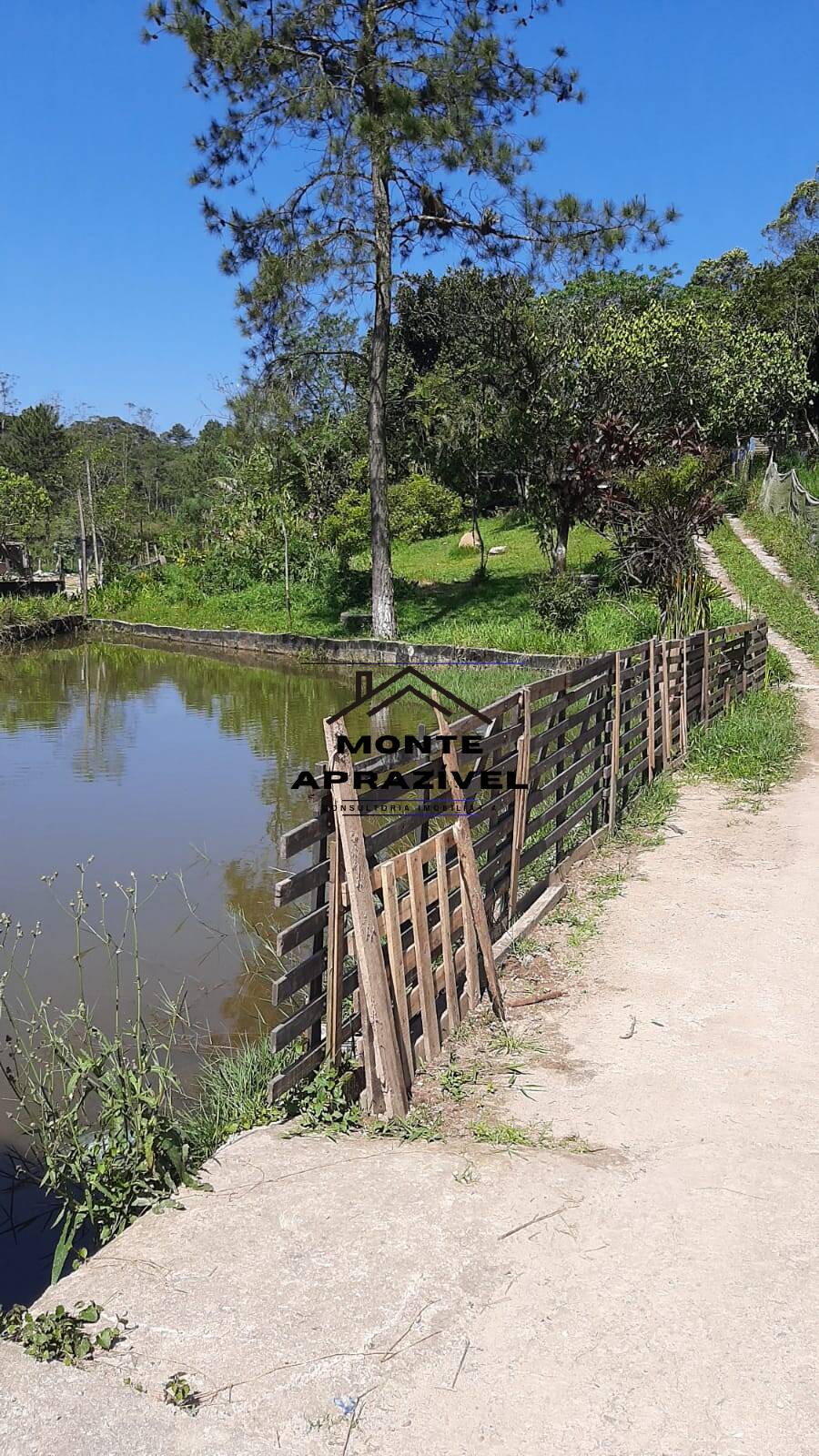 Chácara à venda com 5 quartos, 2500m² - Foto 12