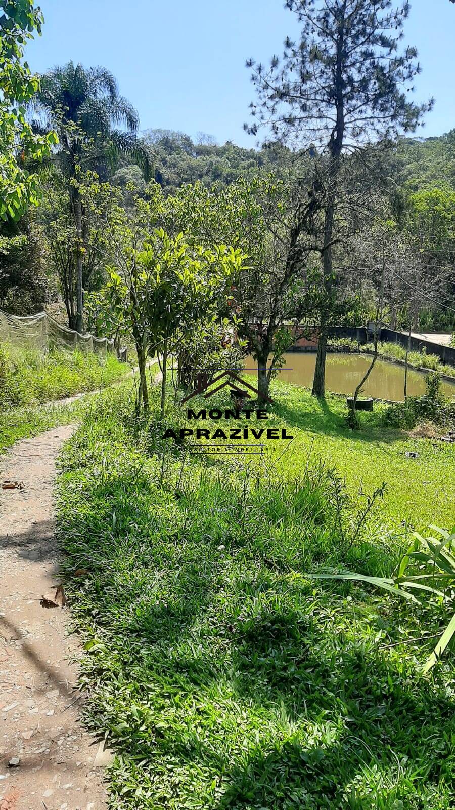 Chácara à venda com 5 quartos, 2500m² - Foto 11