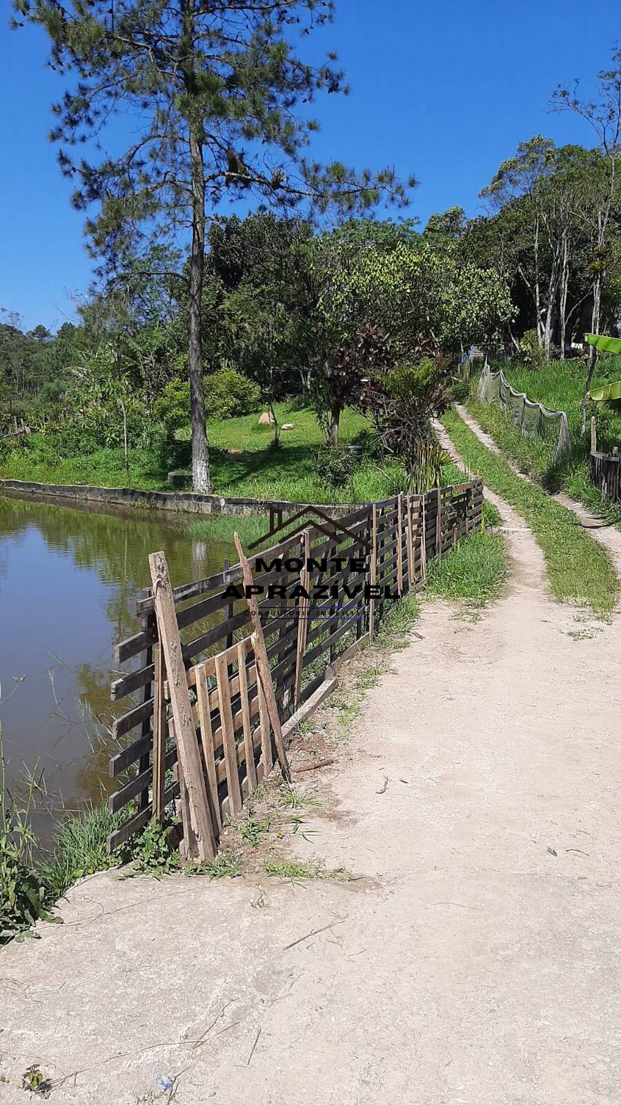 Chácara à venda com 5 quartos, 2500m² - Foto 13
