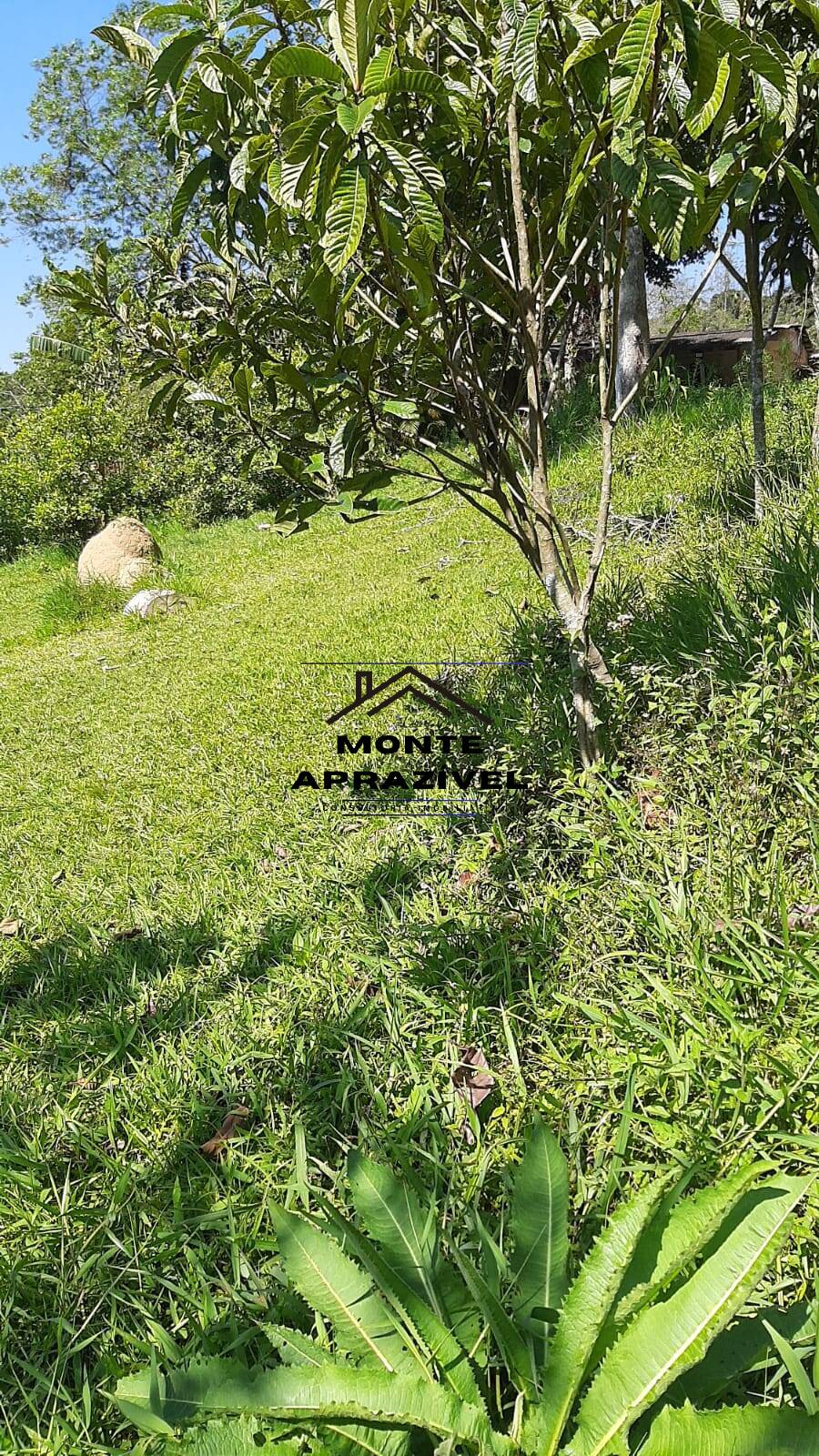 Chácara à venda com 5 quartos, 2500m² - Foto 14