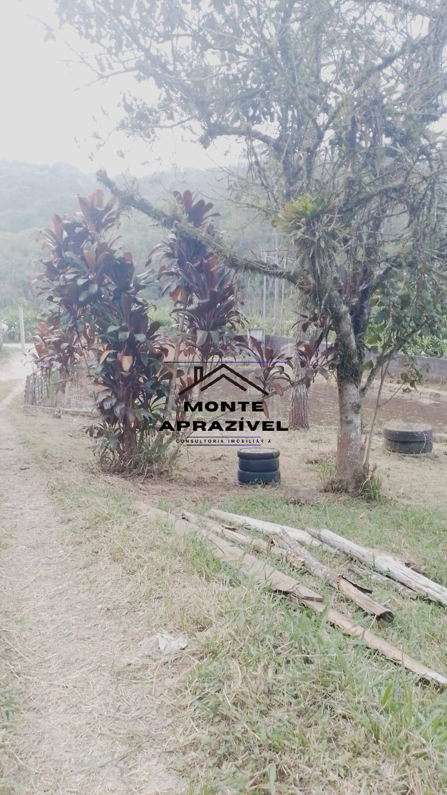 Chácara à venda com 5 quartos, 2500m² - Foto 18