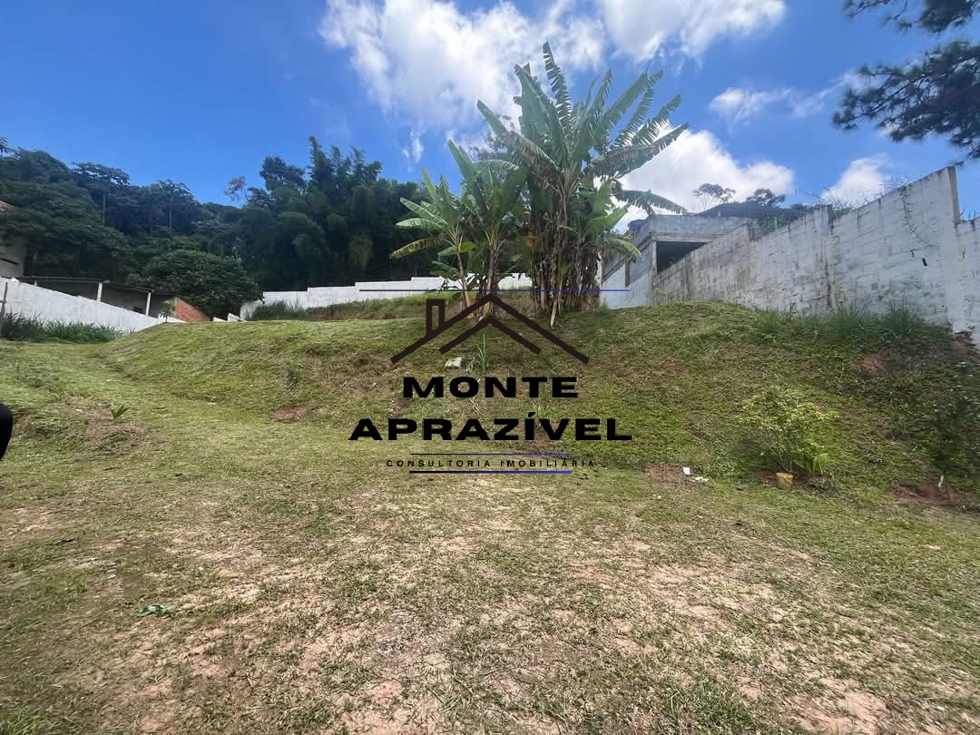 Sítio, 4 quartos, 2000 m² - Foto 20