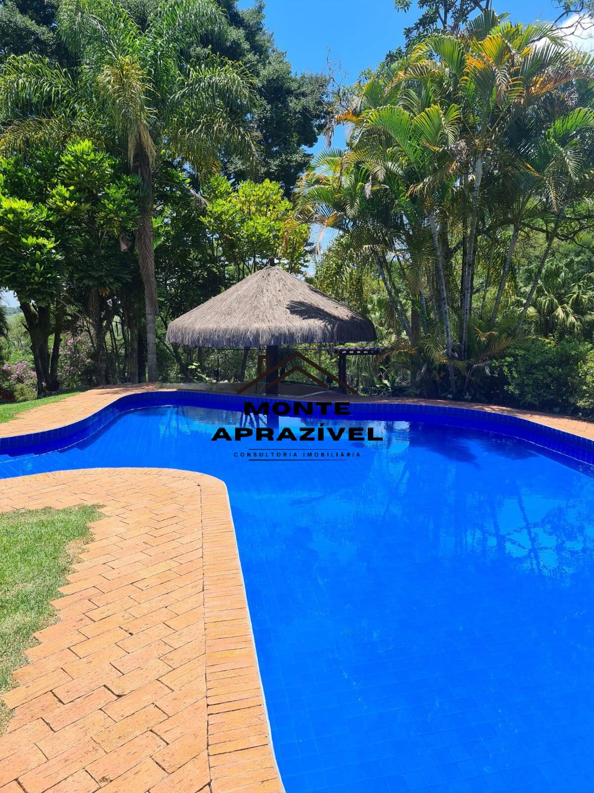 Chácara à venda com 3 quartos, 4500m² - Foto 4
