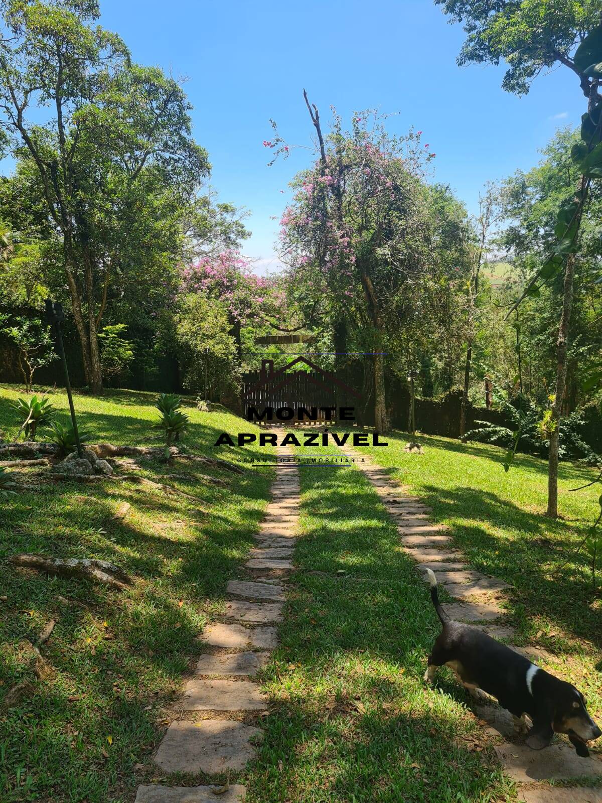 Chácara à venda com 3 quartos, 4500m² - Foto 5