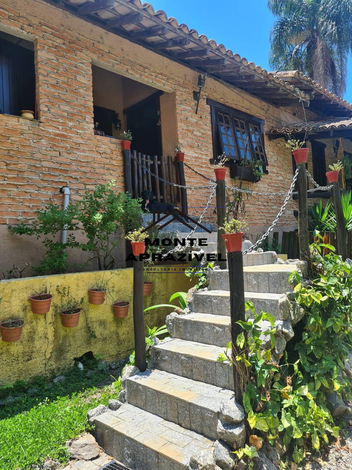 Chácara à venda com 3 quartos, 4500m² - Foto 10