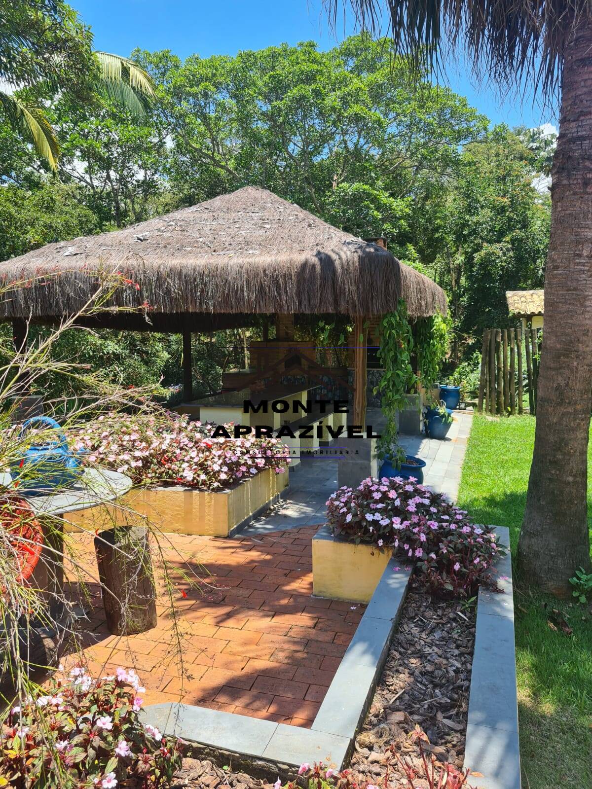 Chácara à venda com 3 quartos, 4500m² - Foto 14