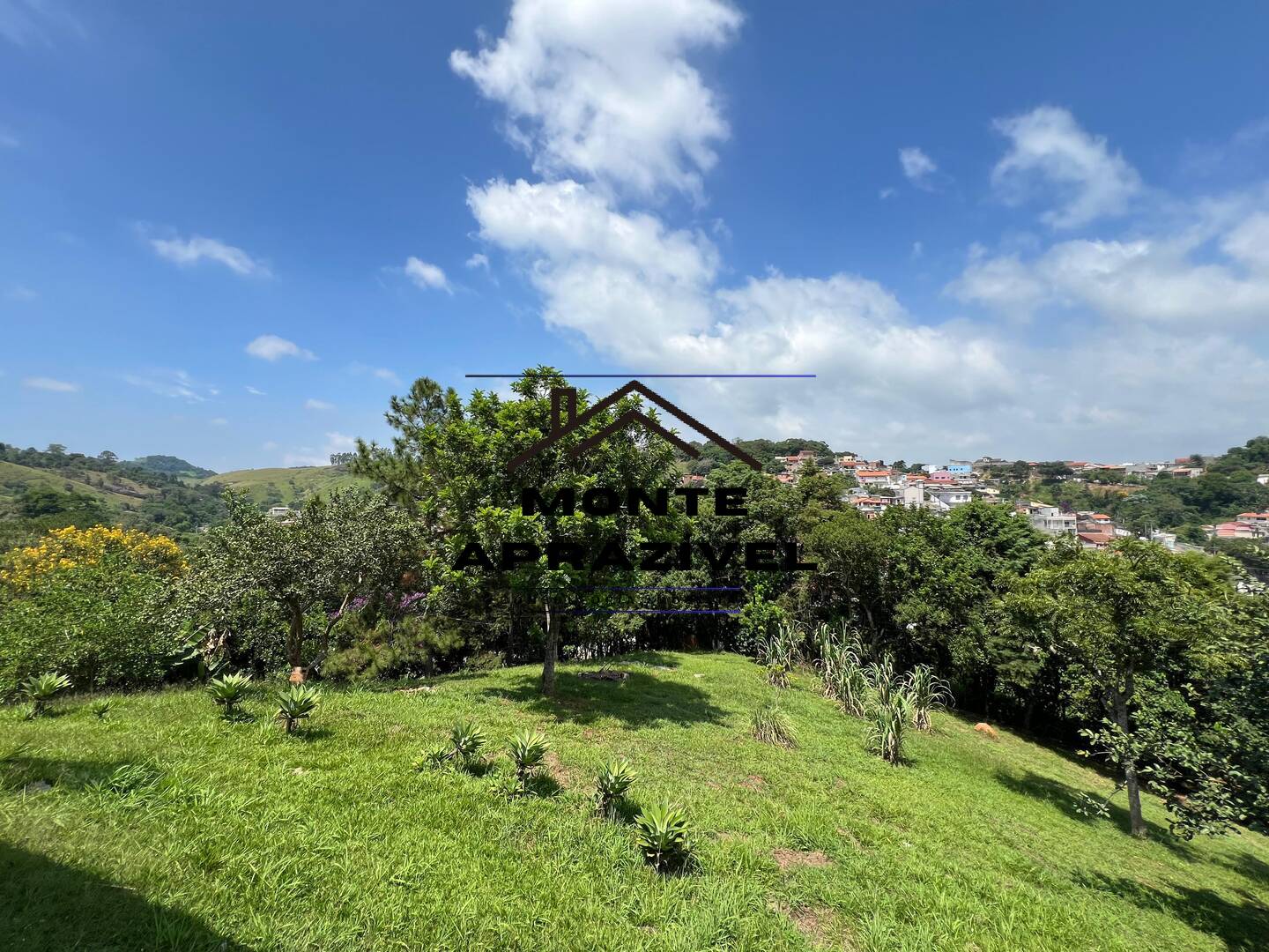 Chácara à venda e aluguel com 3 quartos, 4000m² - Foto 21