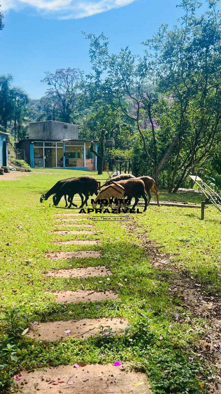 Chácara à venda com 2 quartos, 24200m² - Foto 6