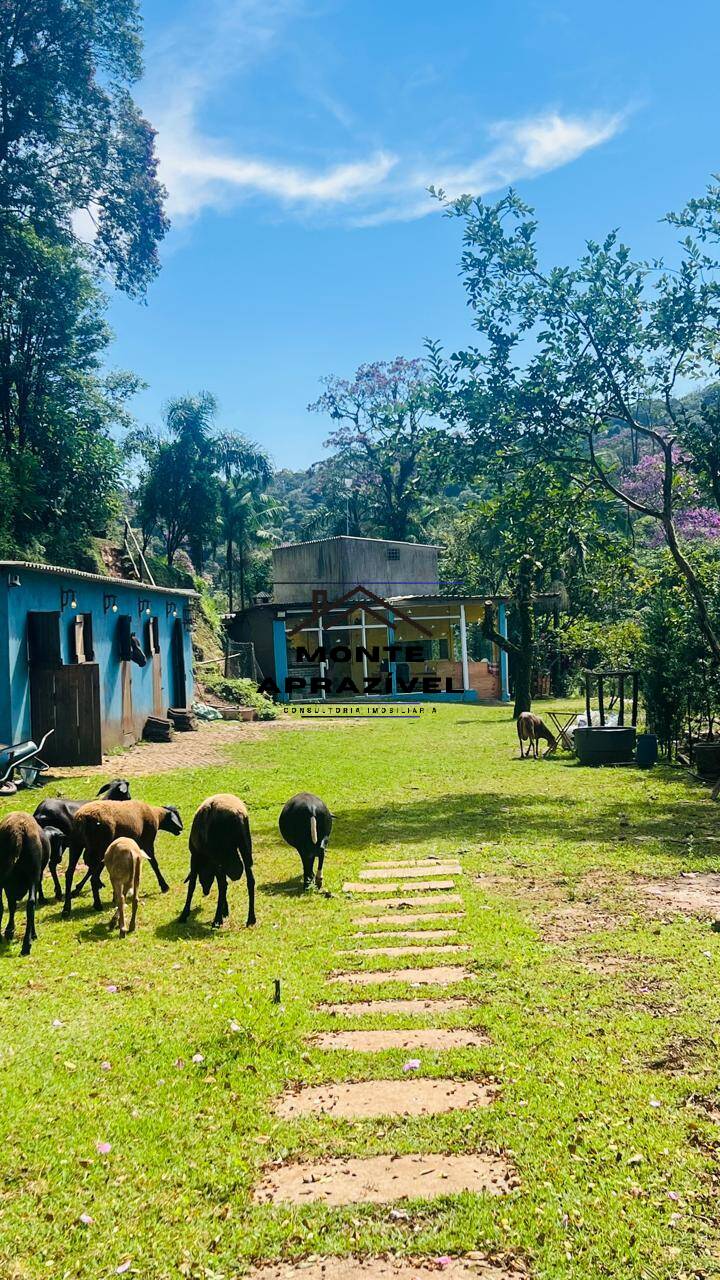 Chácara à venda com 2 quartos, 24200m² - Foto 7