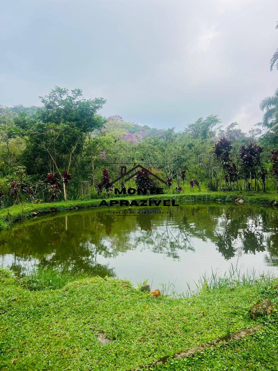 Chácara à venda com 2 quartos, 24200m² - Foto 8