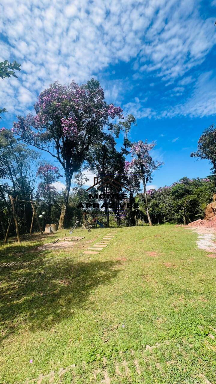 Chácara à venda com 2 quartos, 24200m² - Foto 18