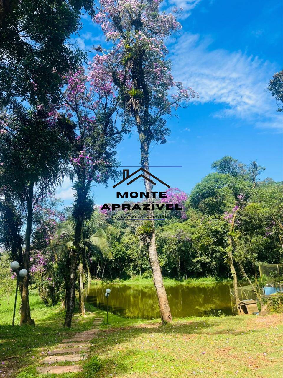 Chácara à venda com 2 quartos, 24200m² - Foto 22