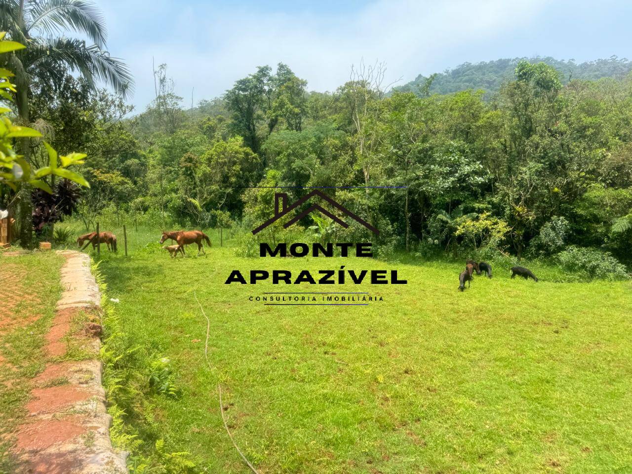 Chácara à venda com 2 quartos, 24200m² - Foto 23