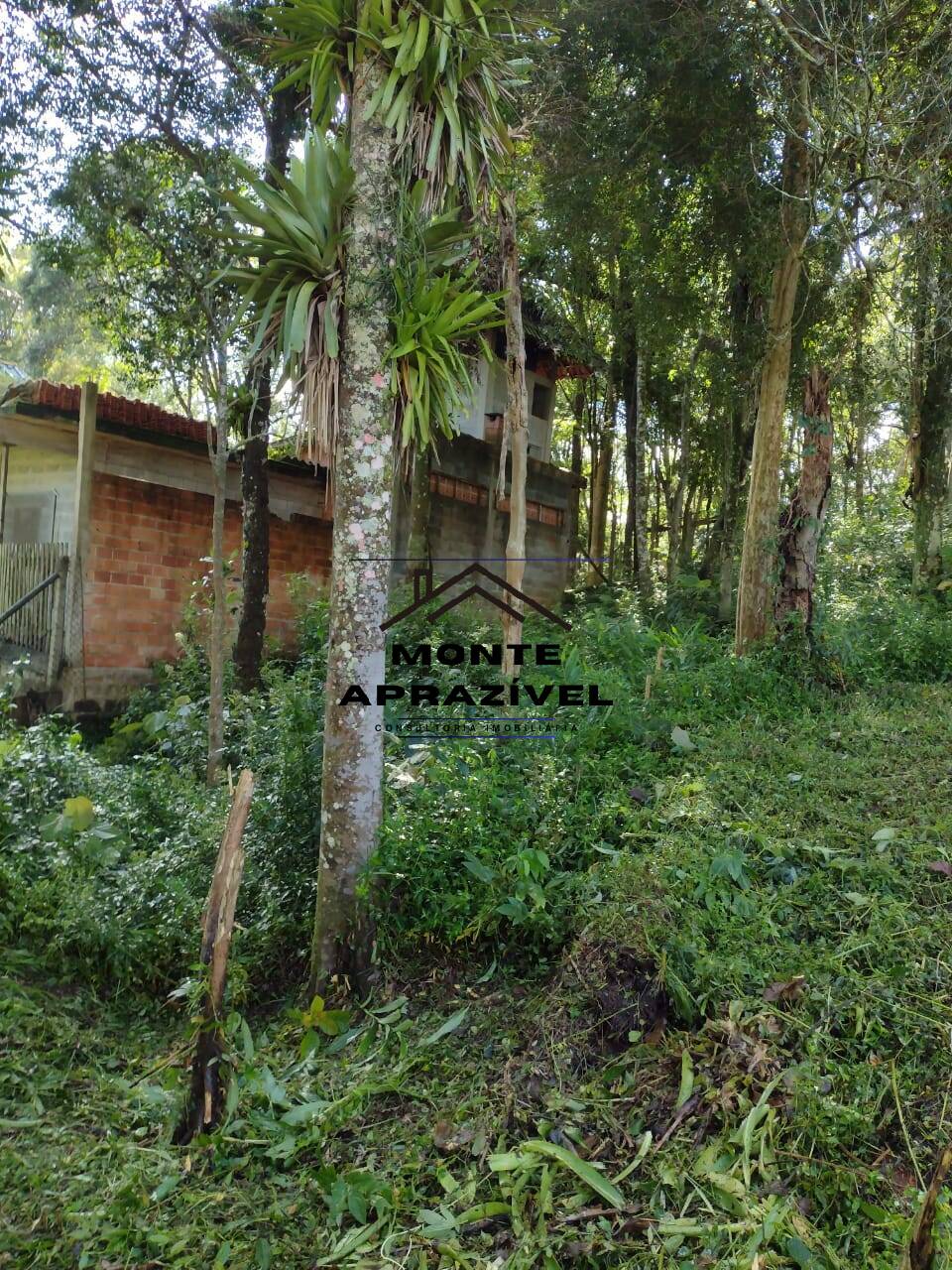 Terreno à venda, 2000m² - Foto 3