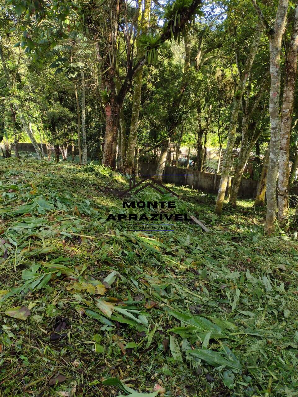 Terreno à venda, 2000m² - Foto 7