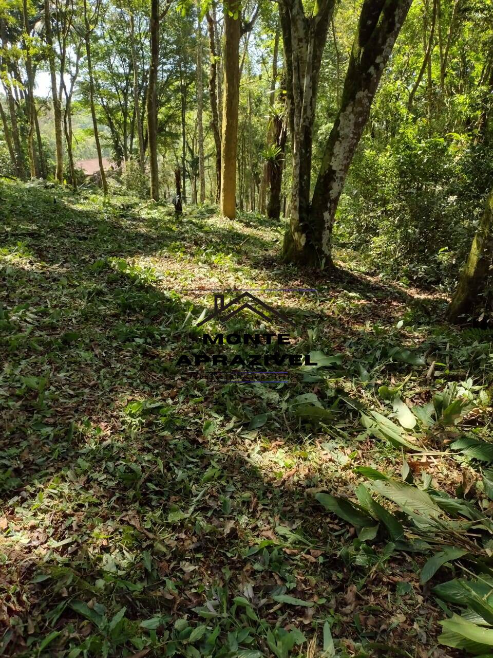 Terreno à venda, 2000m² - Foto 8