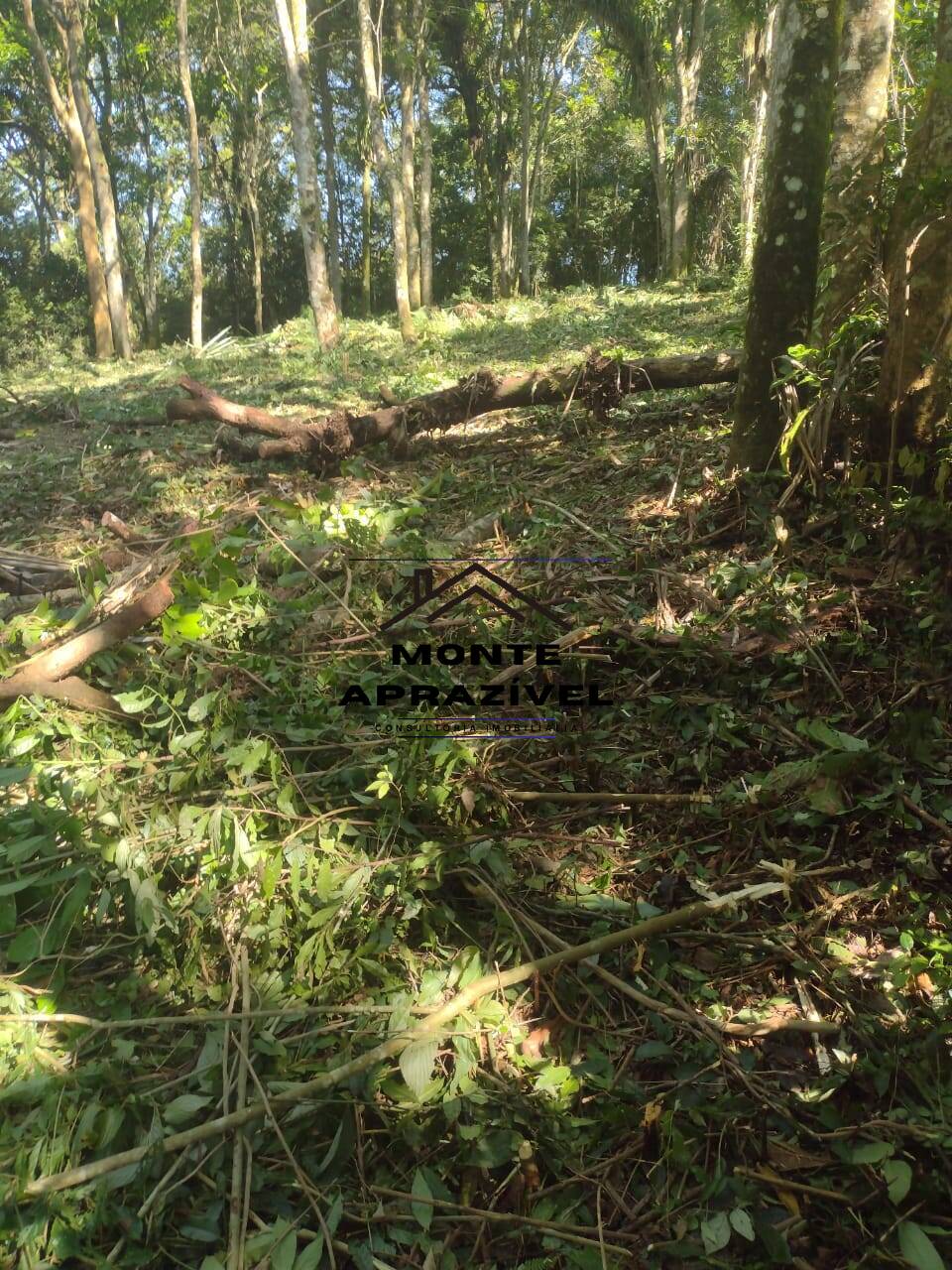 Terreno à venda, 2000m² - Foto 10