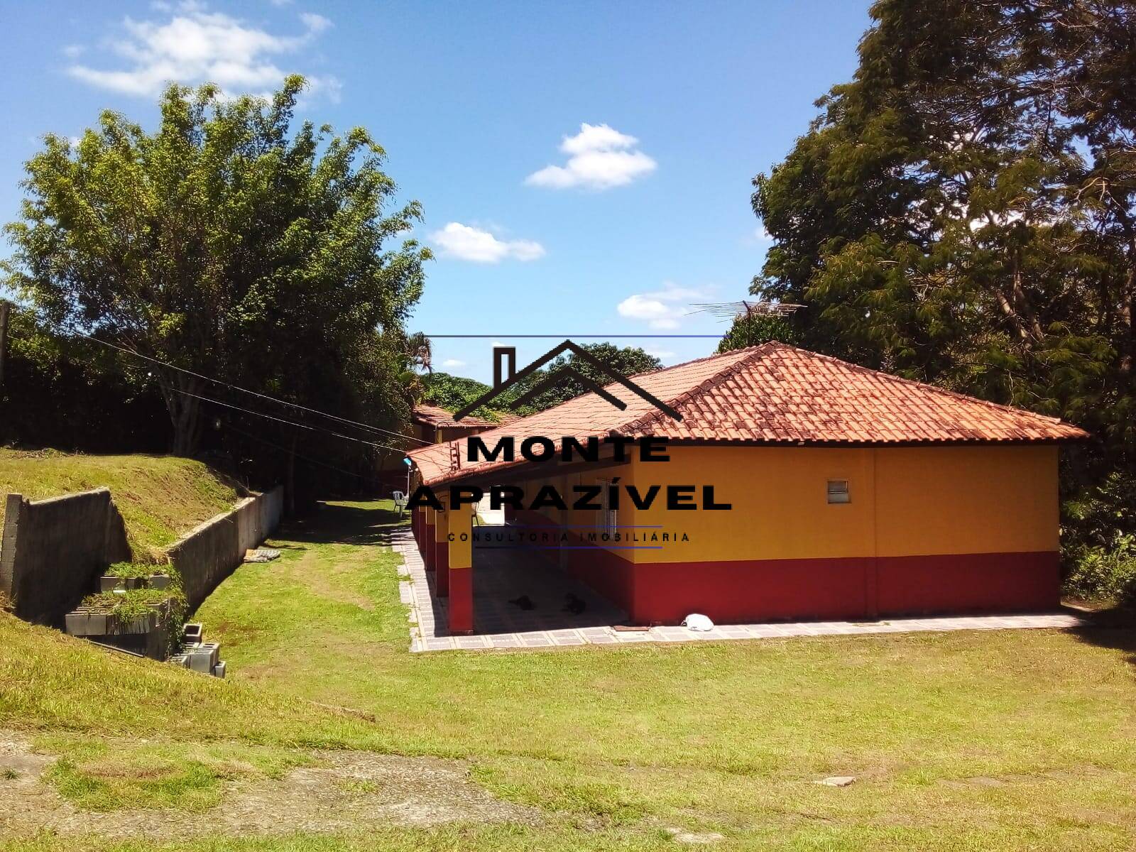 Chácara à venda com 4 quartos, 4300m² - Foto 17
