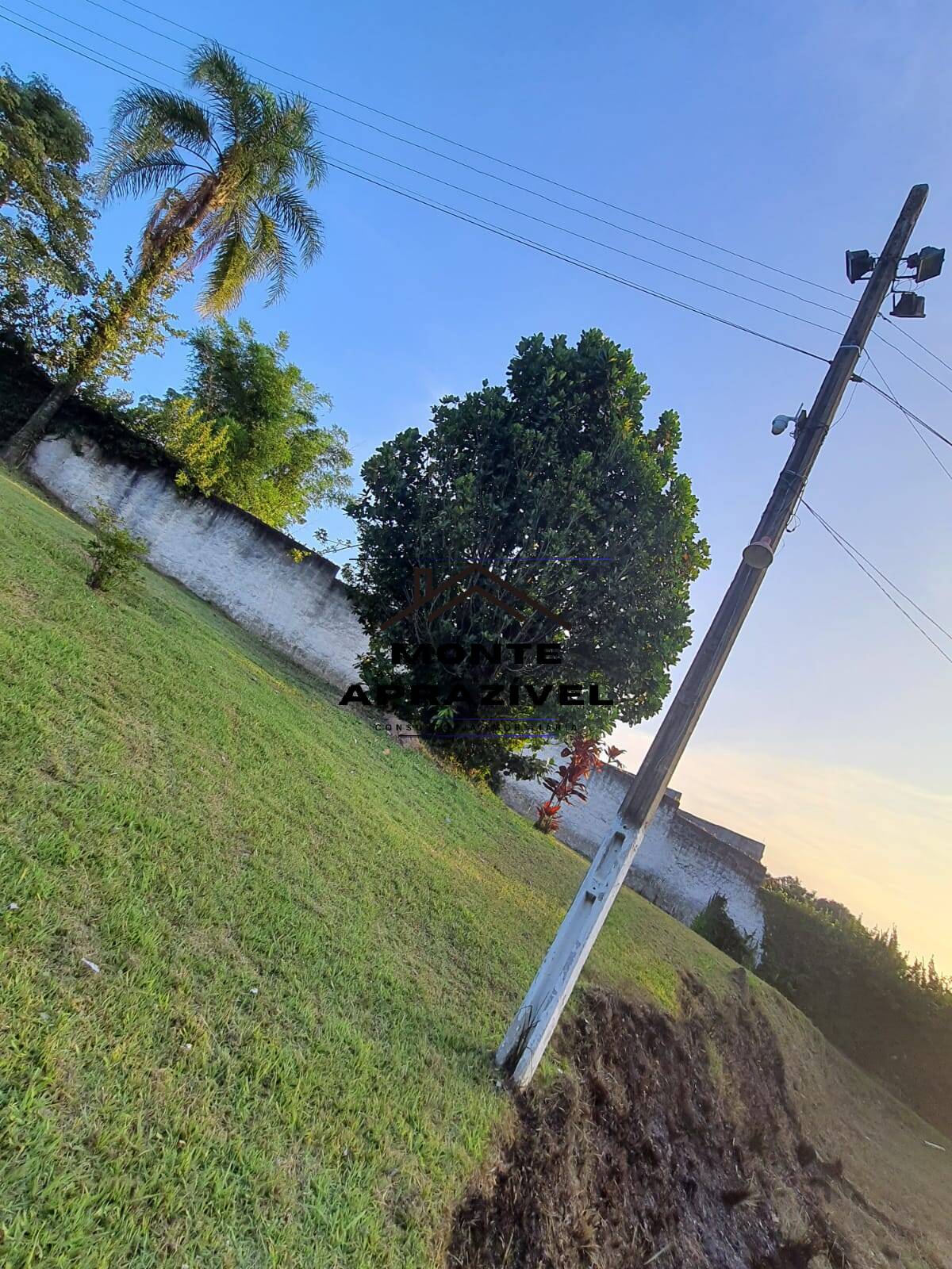 Chácara à venda com 4 quartos, 4300m² - Foto 30