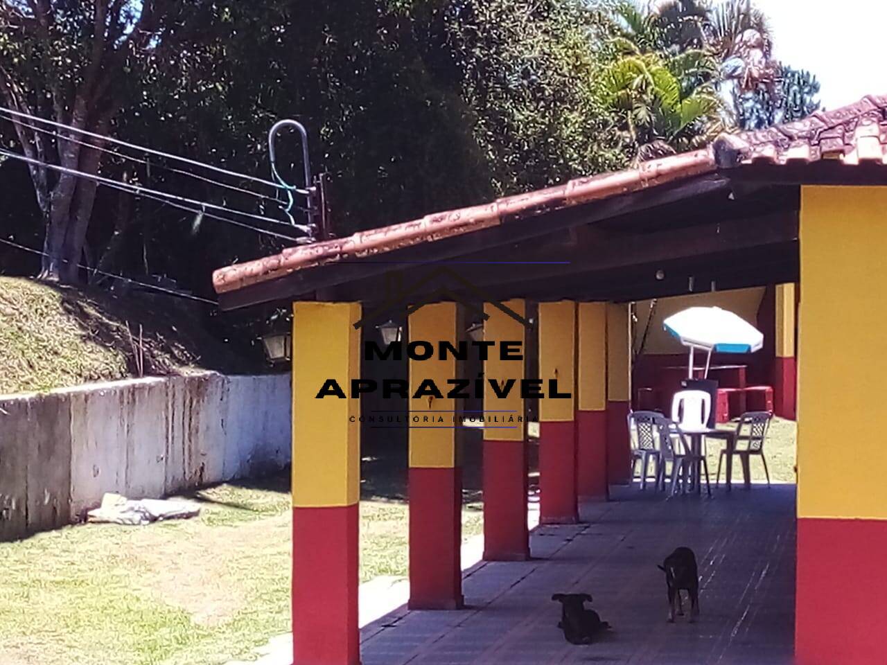 Chácara à venda com 4 quartos, 4300m² - Foto 39