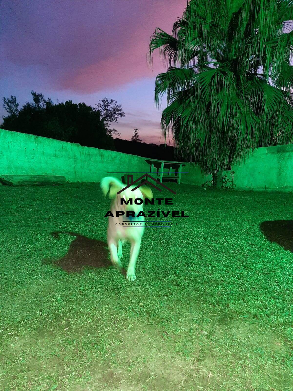 Sítio, 3 quartos, 1600 m² - Foto 9