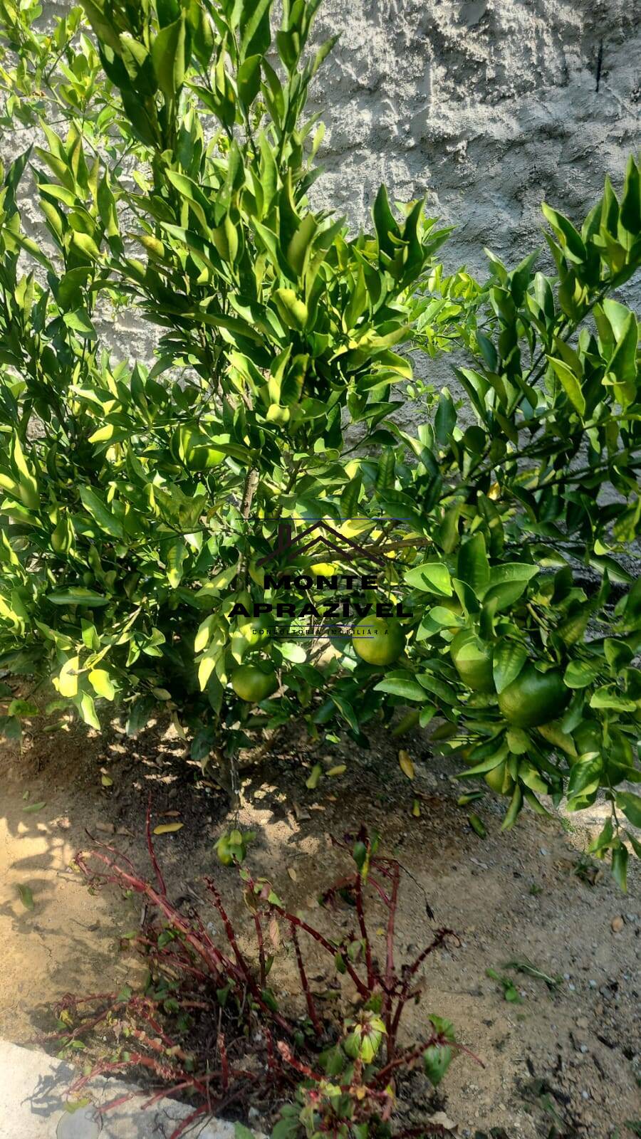 Chácara, 1 quarto, 1400 m² - Foto 5