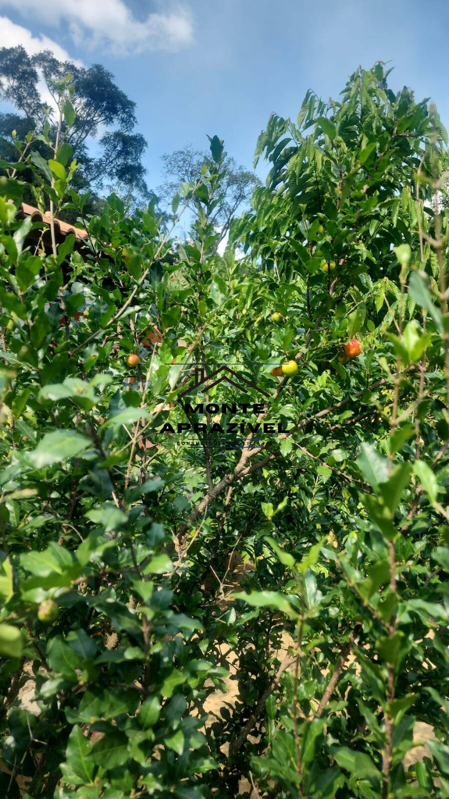 Chácara, 1 quarto, 1400 m² - Foto 15