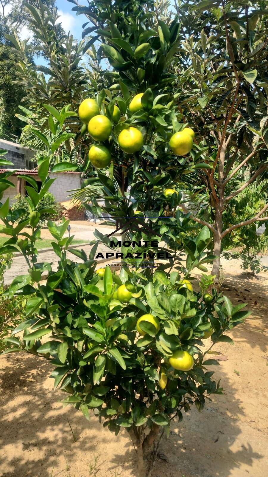 Chácara, 1 quarto, 1400 m² - Foto 17