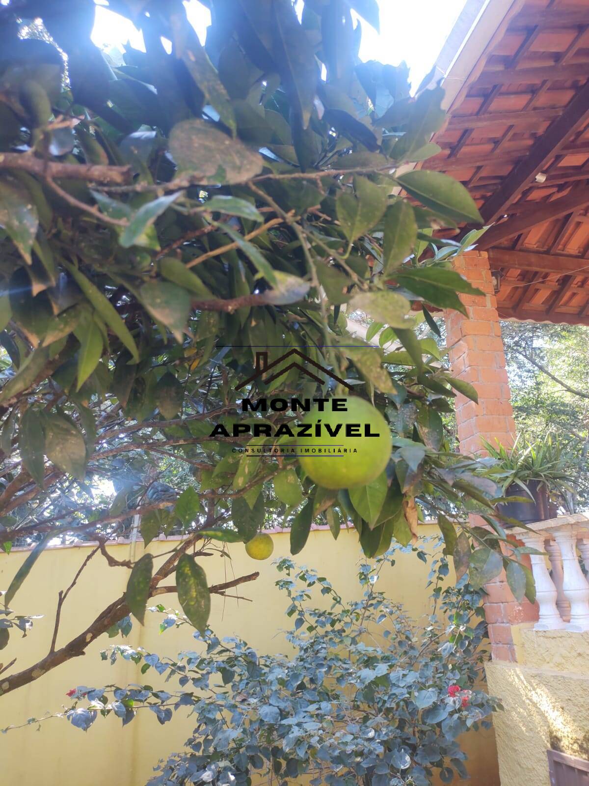 Chácara à venda com 3 quartos, 2000m² - Foto 61