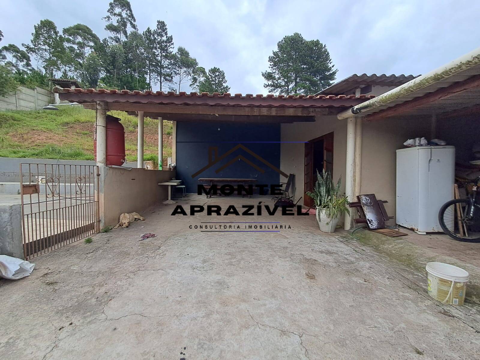 Chácara, 6 quartos, 5000 m² - Foto 3