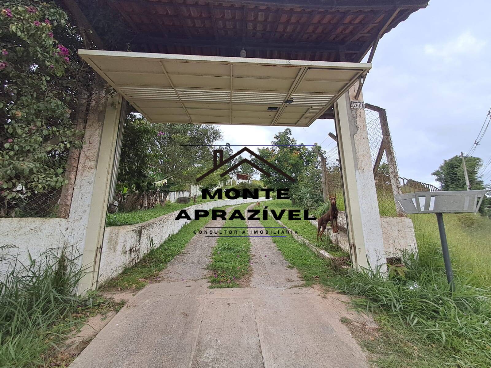 Chácara, 6 quartos, 5000 m² - Foto 12