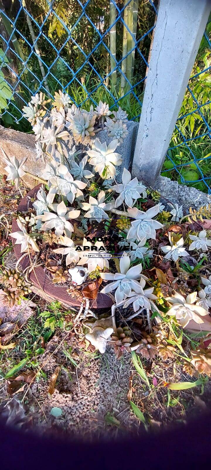 Terreno à venda, 40m² - Foto 23