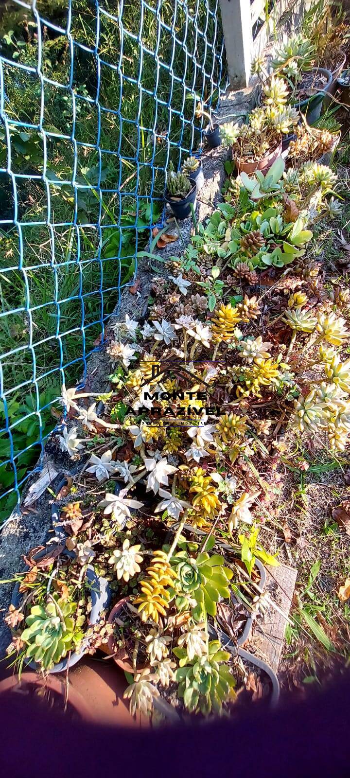 Terreno à venda, 40m² - Foto 30