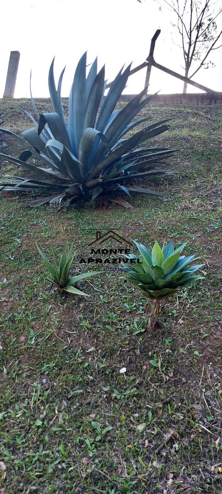 Terreno à venda, 40m² - Foto 34