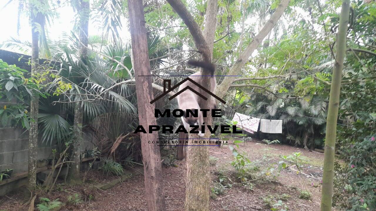 Terreno à venda, 4000m² - Foto 5