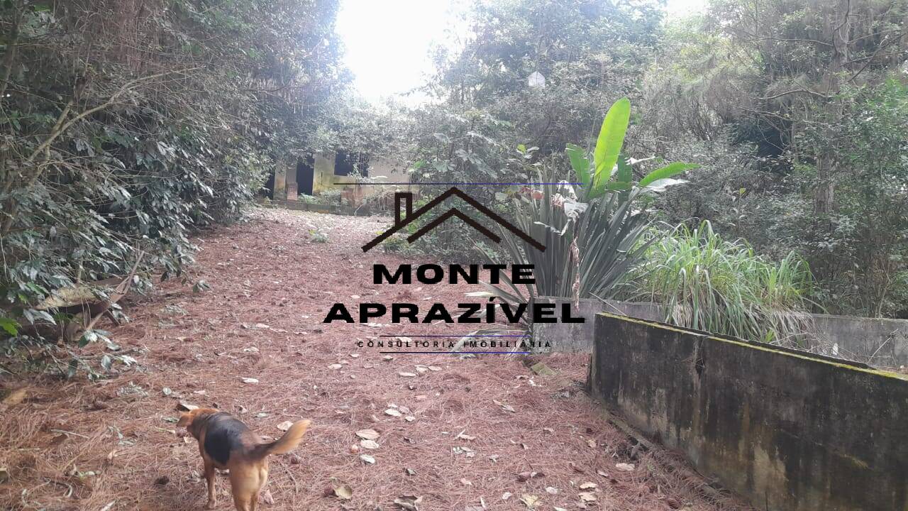 Terreno à venda, 4000m² - Foto 9