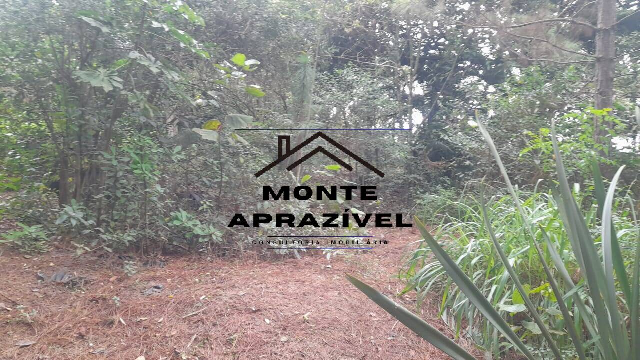 Terreno à venda, 4000m² - Foto 24