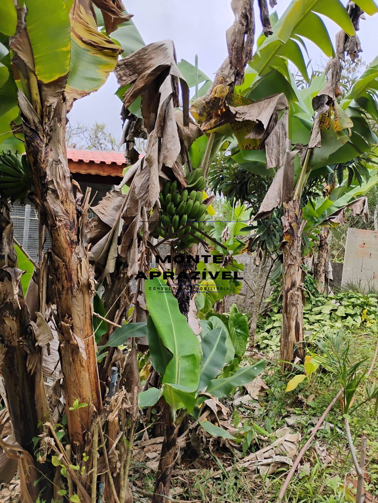 Chácara, 3 quartos, 1780 m² - Foto 13