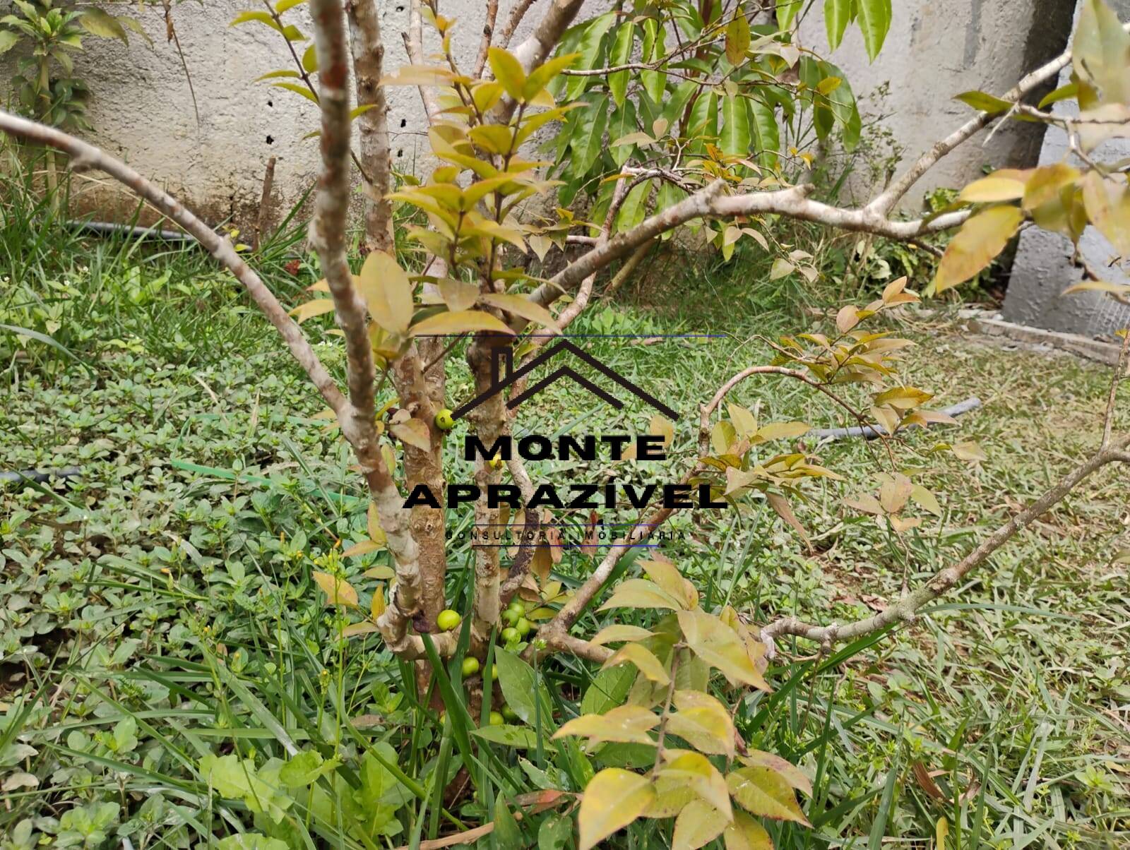 Chácara, 3 quartos, 1780 m² - Foto 26