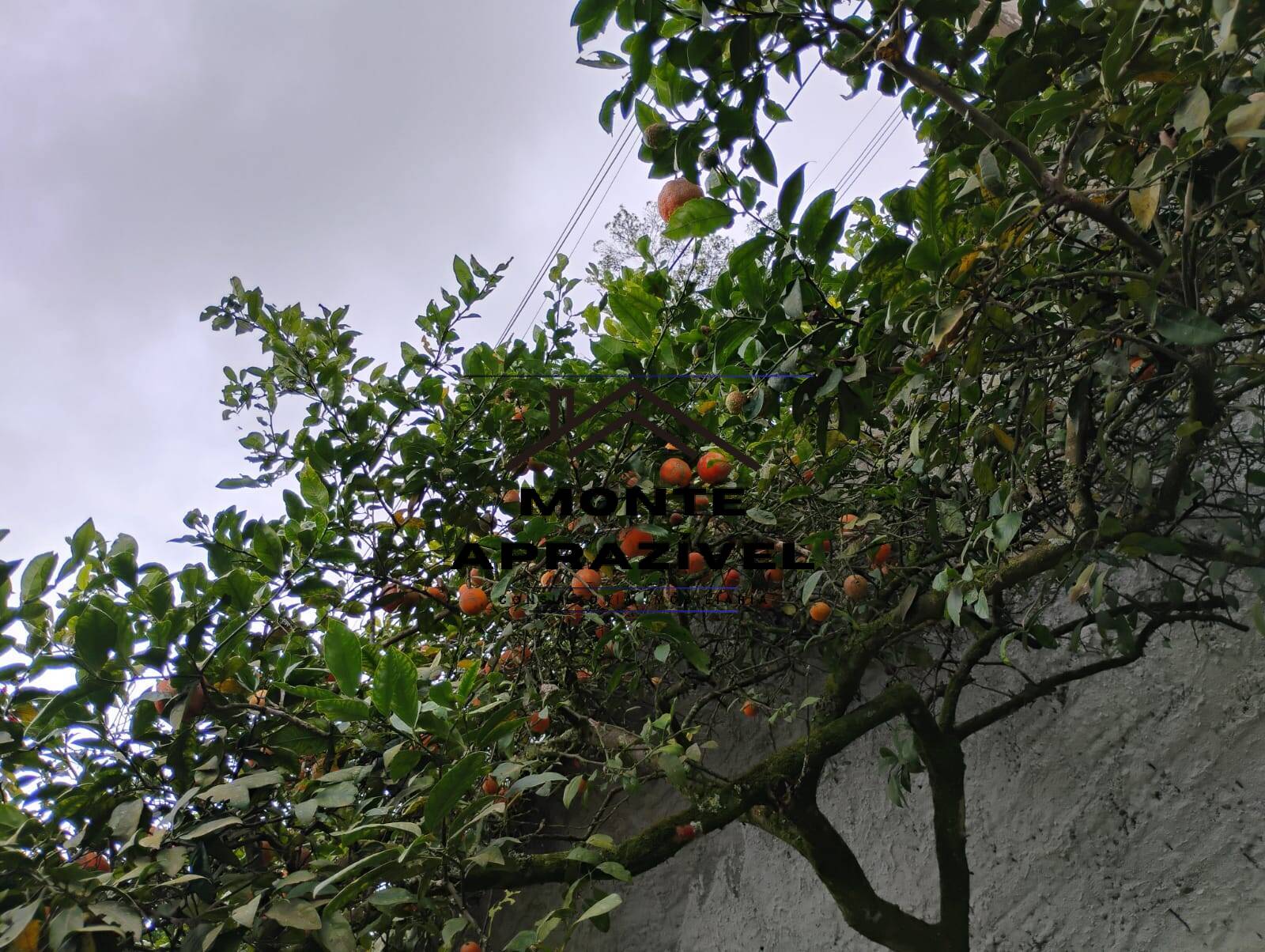 Chácara, 3 quartos, 1780 m² - Foto 30