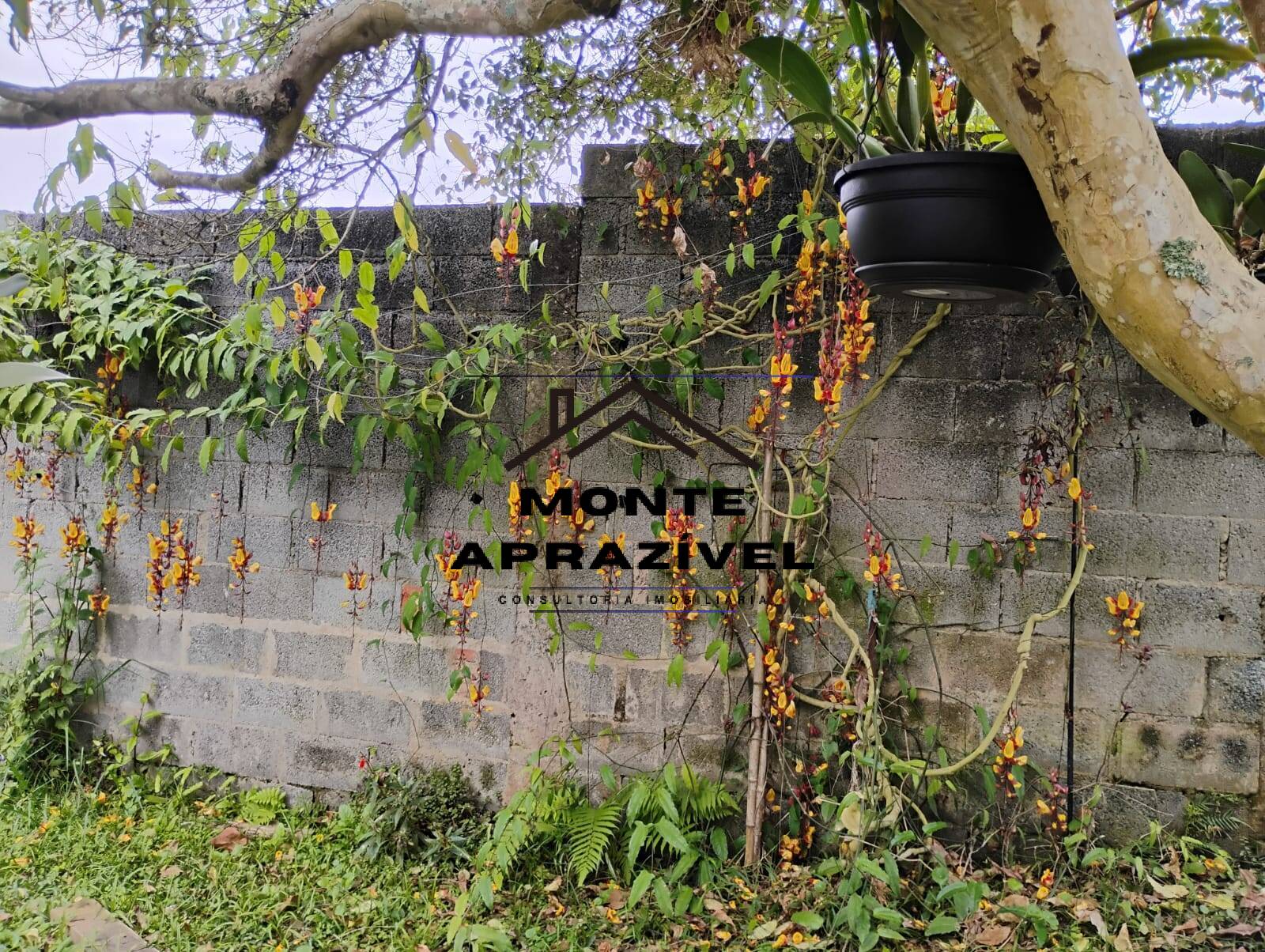 Chácara, 3 quartos, 1780 m² - Foto 31