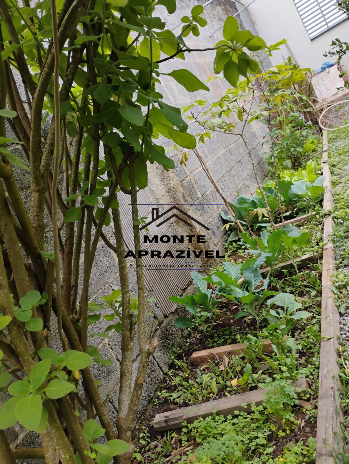 Chácara, 3 quartos, 1780 m² - Foto 36