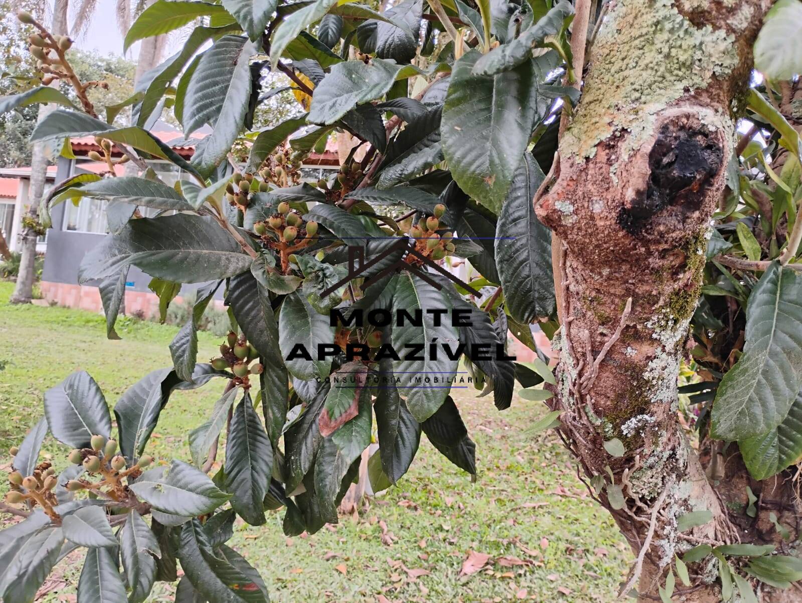 Chácara, 3 quartos, 1780 m² - Foto 49