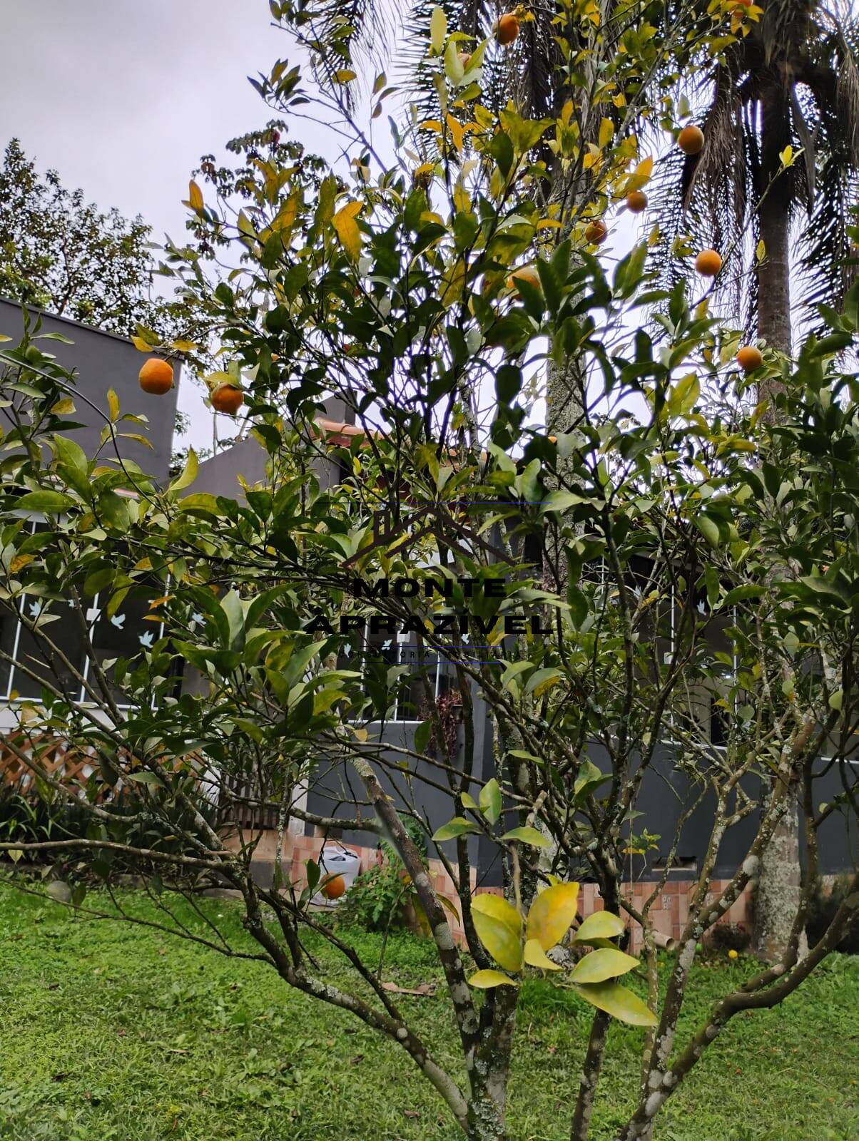 Chácara, 3 quartos, 1780 m² - Foto 53