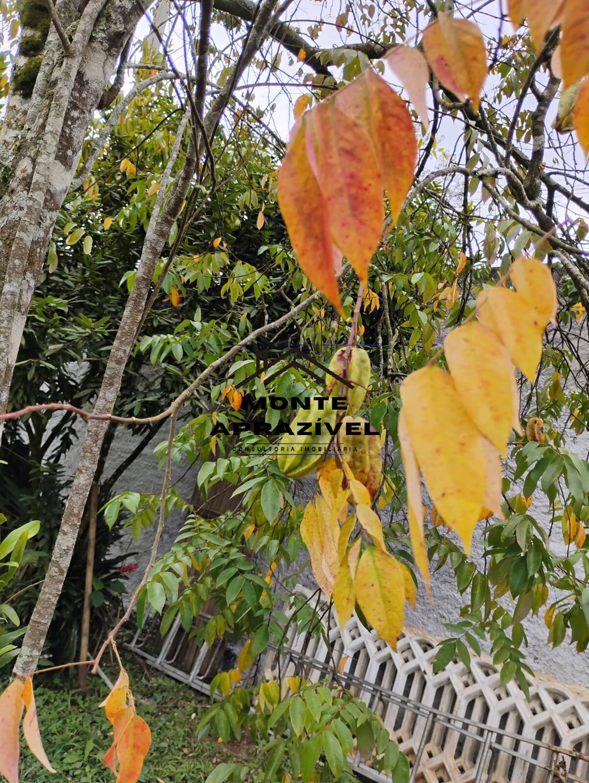 Chácara, 3 quartos, 1780 m² - Foto 57